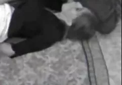 Schöner Brunette liebt, Schwänze fickfilme für frauen zu saugen
