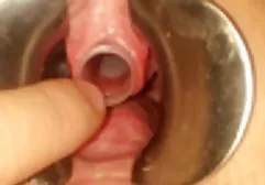 Die Schamblondine lutscht einen langen Schwanz pornofilme gratis gucken eines Mannes