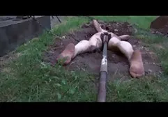 Junges kostenlose bumsfilme Mädchen lutscht einen Schwanz vor der Kamera